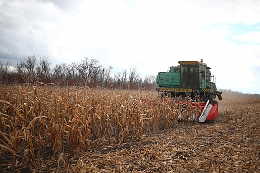 В 2021 году в Волгоградской области ввели в оборот 114 тысяч га пашни