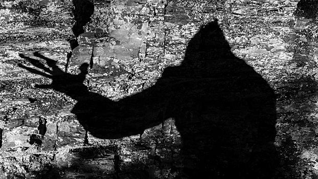 Что ученым известно о Бигфуте — американском снежном человеке