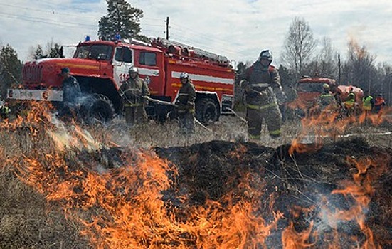 Площадь лесных пожаров в Сибири продолжает расти, в Забайкалье ситуацию осложняет ветер