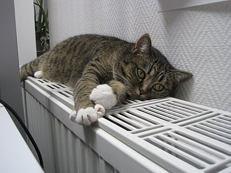 В Чехове отключат отопление в четырех домах