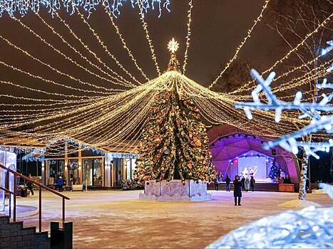 Москвичам рассказали о программе столичных парков на новогодние каникулы