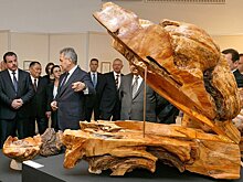 Выставка работ Сергея Шойгу откроется в Казани