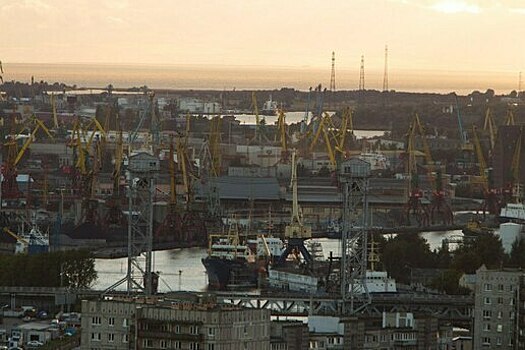 Калининградскому торговому порту ищут нового оператора