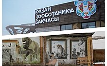 Модернизация старой части казанского зооботсада ожидается в ближайшие годы — идет проектирование