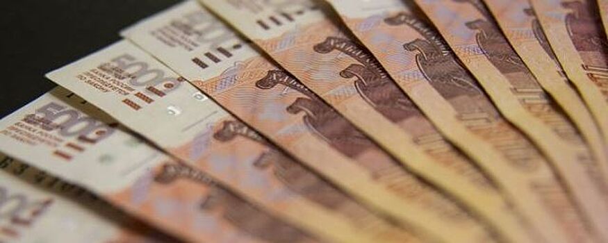 Новгородку обвиняют в краже почти 5 млн рублей у «Змея Горыныча»