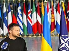 "Смерть мозга" НАТО вылечит либо "орешниковая" лоботомия, либо осиновый кол