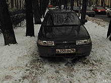 Губернатор и Заксобрание потребовали от Верховного суда вернуть штрафы для гряземесов