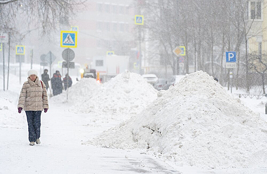 Как Москва пережила рекордный снегопад и как долго будет разгребать последствия?