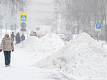 Как Москва пережила рекордный снегопад и как долго будет разгребать последствия?