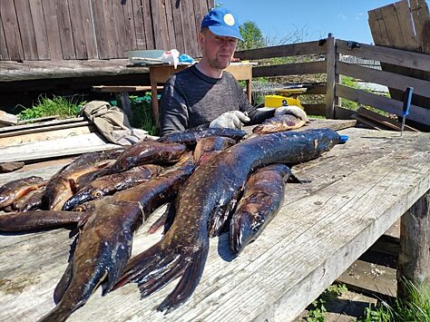 В Карелии снова можно рыбачить на спиннинг и сети. А глупое правило 10 метров лески отменят?