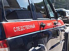 Директора карельского музея задержали по делу о педофилии