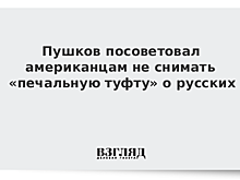 Пушков дал совет американским кинопродюсерам