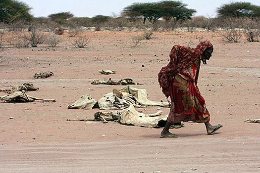 Технологии спасают африканцев от нищеты и засухи