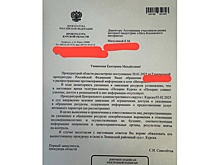 По инициативе Мизулиной Роскомнадзор заблокировал 2 курских телеграм-канала