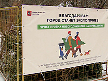 В Москве 600 пунктов принимают новогодние ели на переработку