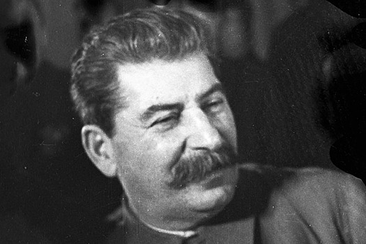 Почему Сталин боялся врачей
