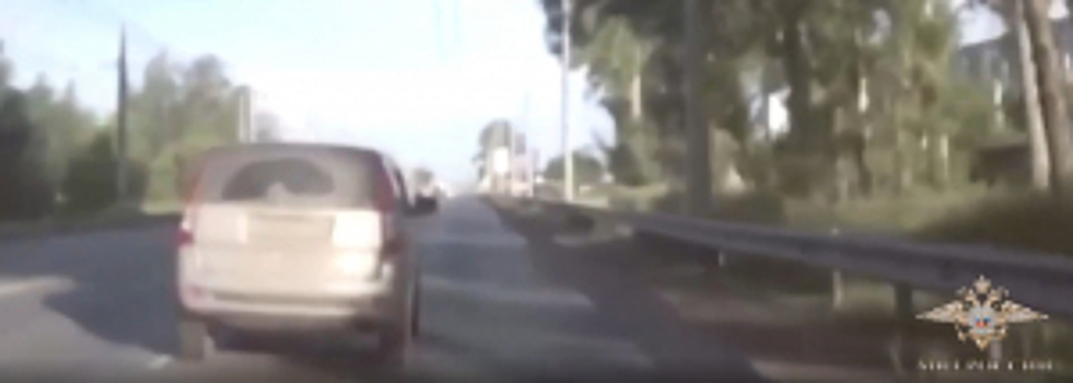 В Омской области госавтоинспекторы применили огнестрельное оружие для задержания нетрезвого водителя