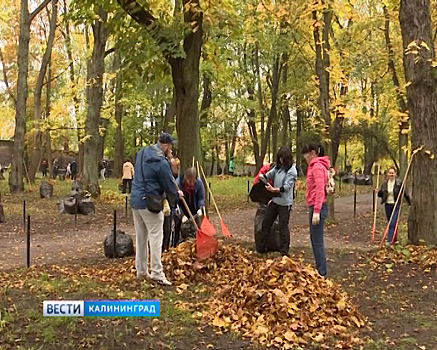 В Калининграде прошёл общегородской субботник