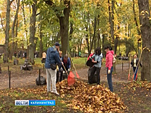 В Калининграде прошёл общегородской субботник
