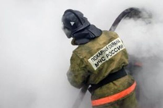 Девять пожаров ликвидировали огнеборцы Рязанской области за выходные