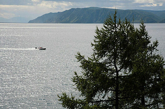 Парламентарии решили уточнить, где можно рубить лес на Байкале