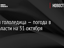 Снег и гололедица — погода в Ленобласти на 31 октября