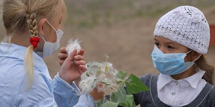 Аллергию на пыльцу начали фиксировать у детей в более раннем возрасте