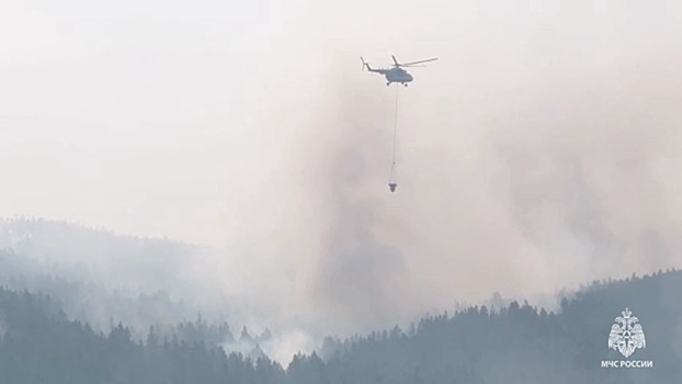 Сгорели десятки домов: почему в поджоге леса в Забайкалье обвиняют подростков