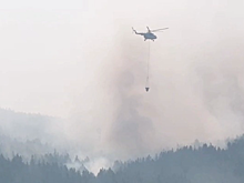 Сгорели десятки домов: почему в поджоге леса в Забайкалье обвиняют подростков