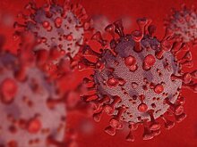 Академик РАН Онищенко: для защиты от нового штамма "Стратус" надо соблюдать режим сна