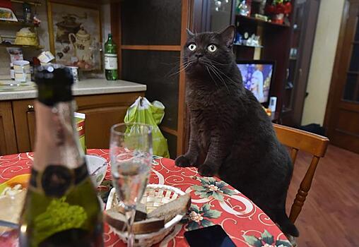 Гастроэнтеролог раскрыл схему выхода из периода застолий