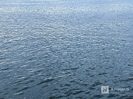 Лайнер «Владимир Жириновский» заметили в акватории Стрелки