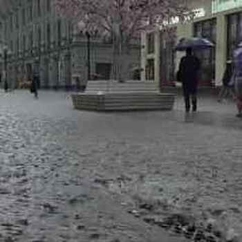 В Москве объявлено экстренное предупреждение из-за дождя и усиления ветра