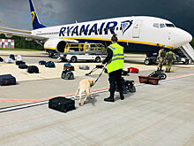 «Похулиганили». Рар объяснил экстренную посадку самолета Ryanair в Берлине