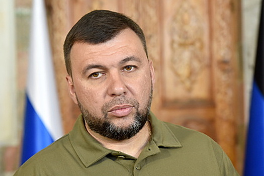 Пушилин высказался о сроках референдума о присоединении ДНР к России