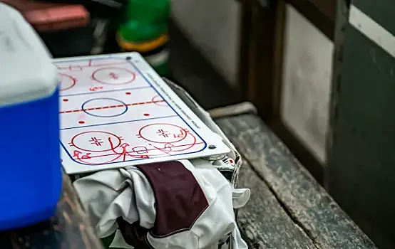 В хоккейный клуб "Лада" может войти экс-тренер "Амура"