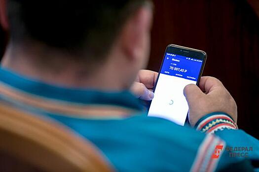 На Ямале самозанятые заработали более 300 млн рублей
