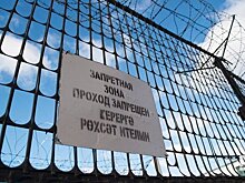Луиза Хайруллина, укравшая из кассы банка в Башкирии 25 млн рублей, вышла на свободу
