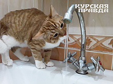«Квадра» перенесла сроки отключения горячей воды в завокзальной части Курска