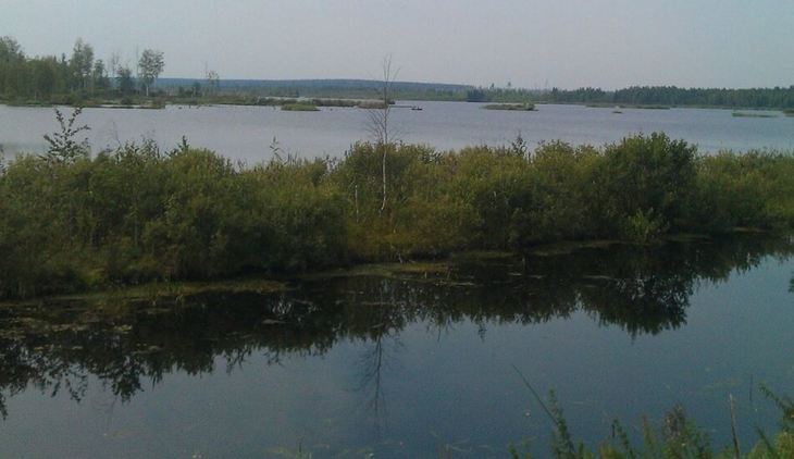Нижегородские раки принесут дополнительный доход местным рыболовам