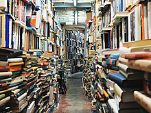 Средства для российских библиотек собирают в Интернете