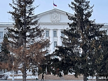 Мэрию Кургана раскритиковали за земельные долги садоводствам
