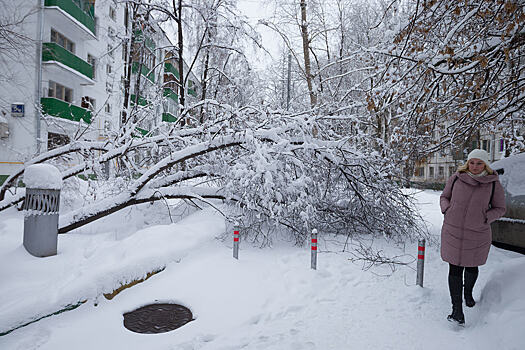 Сергей Собянин из-за снегопада сделал свободным посещение школ 5 февраля