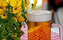 Пивовар из Москвы опроверг миф о составе пива