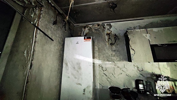 Молодая пара из Вологды чуть не спалила квартиру во время приготовления картошки фри