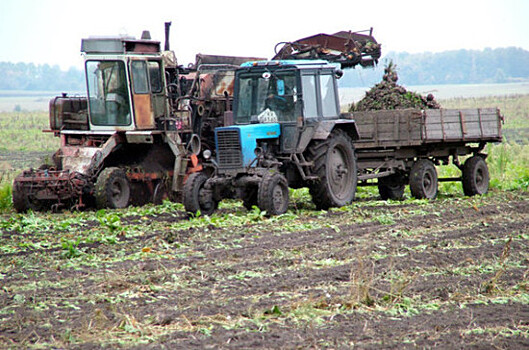 Единый сельскохозяйственный налог предложили уплачивать по месту деятельности