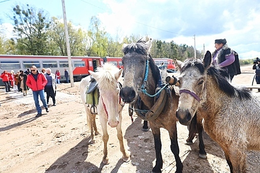 Фото дня: в Краснолесье впервые встретили пассажирский поезд из Калининграда