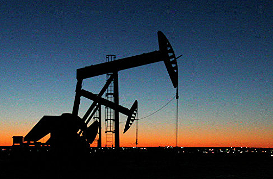 «Зарубежнефть» и Gabon Oil Company планируют совместные нефтегазовые проекты в Габоне