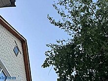 В Спасске многодетная женщина снесла дом, купленный на маткапитал