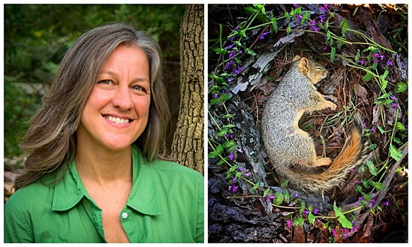 Необыкновенно красивые и печальные фото цветочных мемориалов для мертвых животных